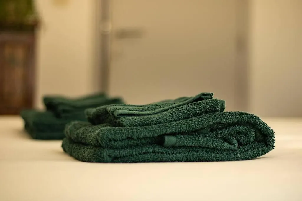 City Center Boutique Apartment Gent